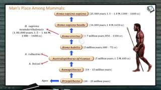 Know more about Evolution of Man. NEET Zoology XII Human Evolution