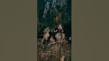تلاوة من سورة إبراهيم || القارئ عبد الرحمن مسعد