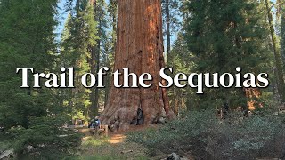 Hiking General Sherman & the Trail of the Sequoias in 4K | Sequoia National Park | Escape the crowds