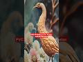 PVC 3D Wallpaper for Seelan wall with 5 Year Warranty #pvcwallpaper #3dwallpaper #homedecor #wall