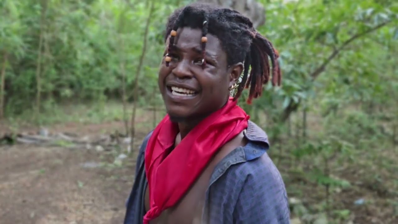 LE RETOUR DU TIGRE 🐅 