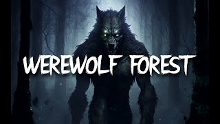 WEREWOLF AMBIENCE | 4 HOURS OF SPINE CHILLING AMBIENCE | FOR D&D, STORYTELLING, WORK, STUDY