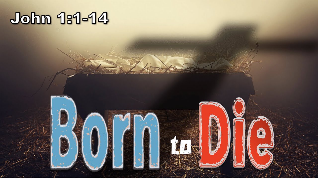 Born to Die - YouTube