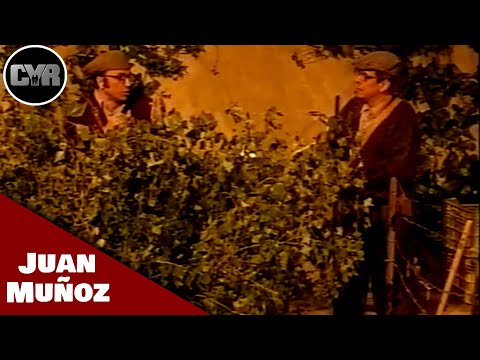 Cruz y Raya - Tomas y Ramón - La Caza | Juan Muñoz Cómico