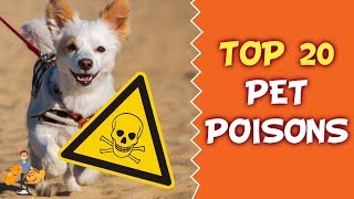 Top 20 Deadly Pet Poisons Every Owner Must Know About!