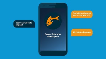 Migration & Project Support with Payara Enterprise