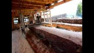 Swing blade sawmill, best and strong and simple