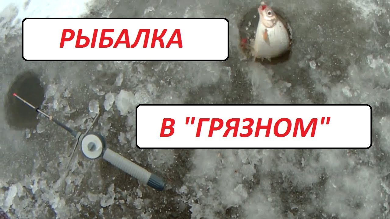 ловить мутного. рыба в мутной воде. ловить рыбу в мутной воде. рыбалка в мутной воде. ловля в каламутной воде.