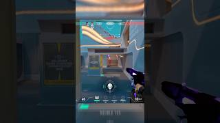 Peep the decent flick game. #valorant #twitch #gaming #goodaim