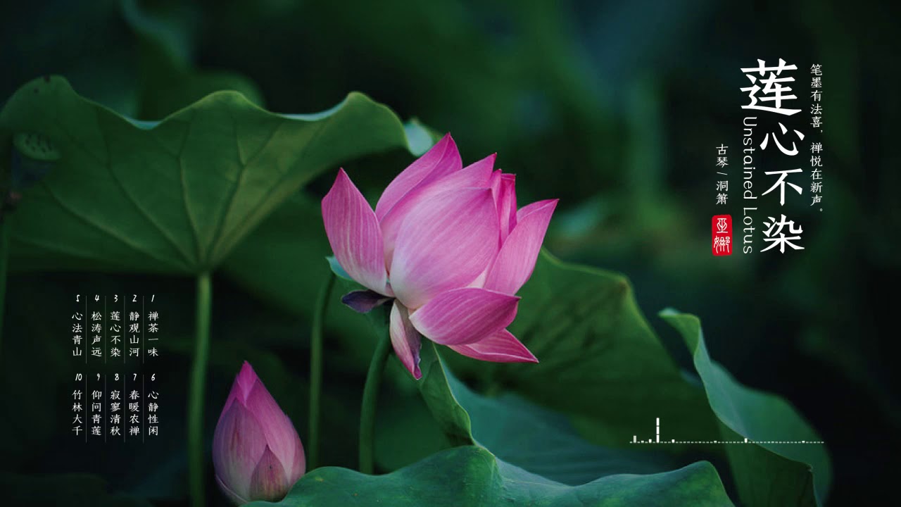 &egrave;&sup2;&aring;&iquest;&auml;&cedil;&aelig;&aring;&curren;&aring;&cedil;&auml;&cedil;&shy;&aring;&frac12;&eacute;&sup3;&auml;&sup1;&aring;&curren;&ccedil;&acute;&aring;&aelig;&sup2;&aelig;&not;&pound;&egrave;&micro;&aelig;&acute;&ccedil;&reg;&laquo;&ccedil;&brvbar;&auml;&iquest;&reg;&aring;&curren;&ccedil;&acute;&aelig;&frac14;&aring;&yen;&aring;&curren;&ccedil;&acute;&egrave;&frac12;&raquo;&eacute;&sup3;&auml;&sup1;&aelig;&acute;&ccedil;&reg;&laquo;&eacute;&sup3;&auml;&sup1; ...