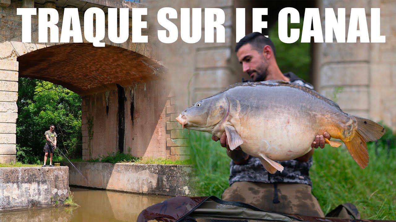 CAPTURER 1 poisson sur CHAQUE poste en CANAL avec Mathieu !