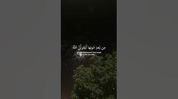 ﴿ ولئِن سألتهُم من نزَّل مِن السَّماء ﴾ سوره العنكبوت، عبدالرحمن مسعد #ارح_سمعك #ارح_قلبك #قران_كريم