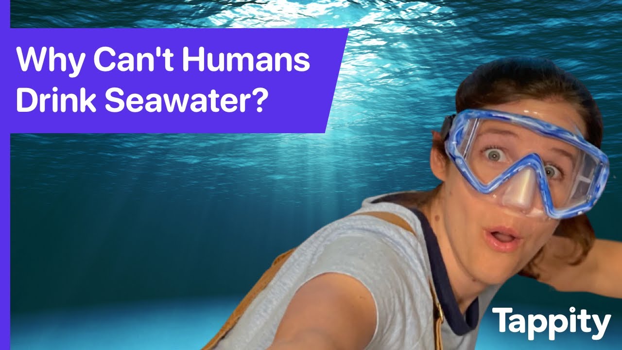 Why Can't Humans Drink Seawater? | Oceans for Kids | Ask Tappity: Science Questions & Answers