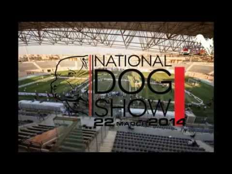 フンデルトヴァッサー 日本 NATIONAL DOG SHOW