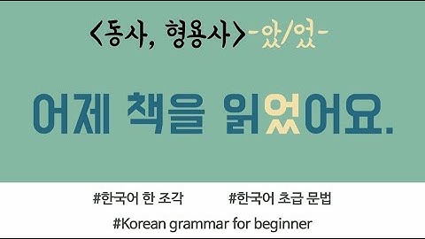 [한국어 초급 문법] -았/었- past tense Korean basic grammar 어제 책을 읽었어요