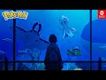 【ポケモン作業用BGM】BW/BW2懐かしの厳選15神曲│マリンチューブ-海底に棲むポケモンの世界-