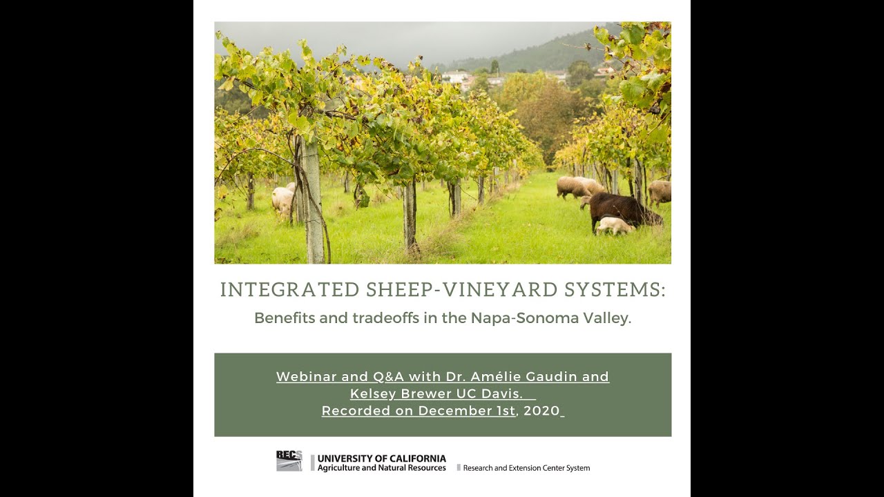 Integrated Sheep-Vineyard Systems: Benefits and tradeoffs in the Napa-Sonoma Valley.