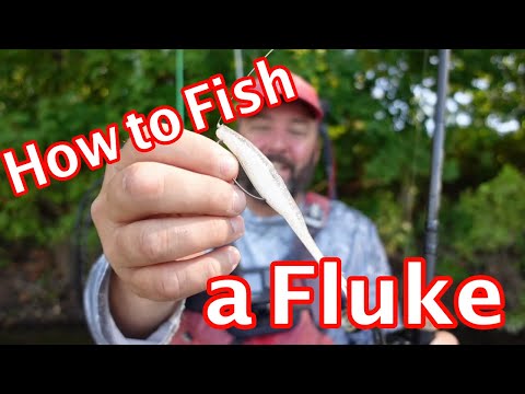 How to Fish a Fluke - Bass Fishing