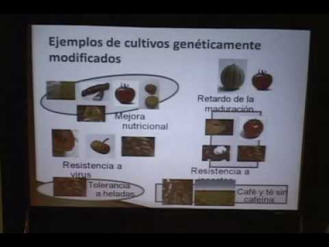 Biotecnología y crisis alimentaría Conferencista E...
