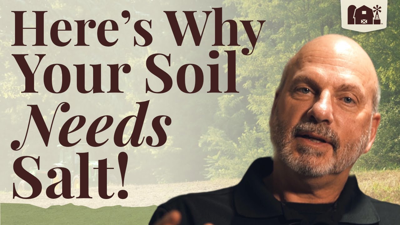 How can Redmond Salt benefit your soil and plants? YouTube
