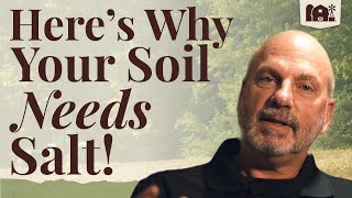 How can Redmond Salt benefit your soil and plants?
