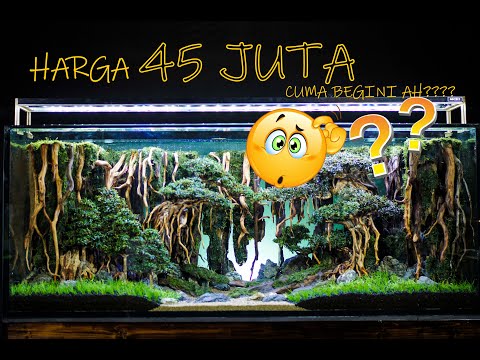 setup-tank-customer-1,5-meter-||-jungle-bonsai-style