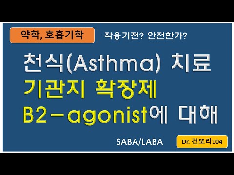 천식(asthma) 기관지확장제: B2-agonist(SABA/LABA) 작용기전, 안정성