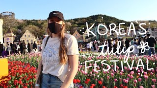 Everland in Spring 🌸 | Best Spring flowers in Korea | Day in my Life in Seoul, South Korea