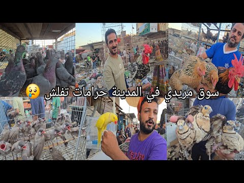 سوق مريدي في بغداد المدينة سوق الغزل الثاني يوم الأربعاء ٢٧ أغسطس ٢٠٢٥