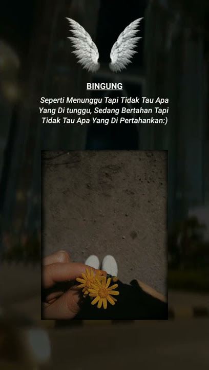 STATUS WA 30 DETIK KEREN |• BINGUNG