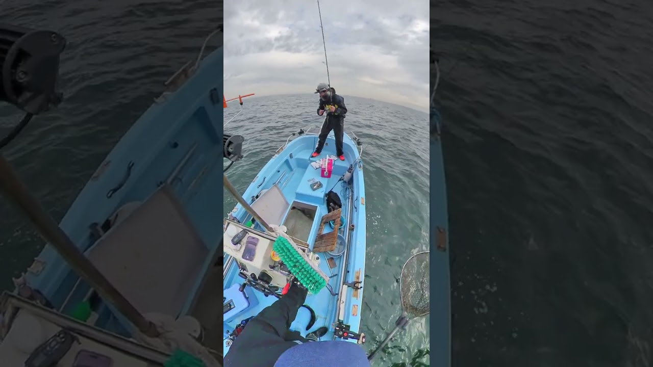 アジ釣り目的だったのに、エギングロッドで初めて🐟シーバス（スズキ・クロダイ）を釣りました〜〜。　『足利市のキミ❣️コメントしなさい❣️』