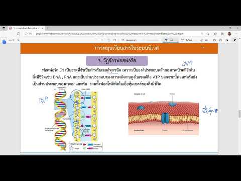 3 การหมุนเวียนสารในระบบนิเวศ