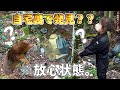 【トレジャーハンター】人生初！家のモグラがお宝見つけた。価値ある骨董レトロガラスを探す宝探しが面白い！