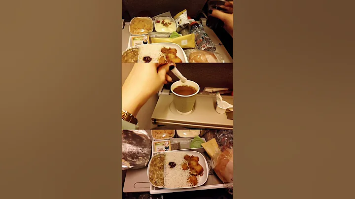 Emirates Flight Asian Vegetarian Meal BLR-DXB #shorts #emirates #inflightmeal #inflightexperience