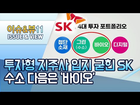 투자형 지주사 입지 굳힌 SK, 수소 다음은 &amp;#39;바이오&amp;#39; / 머니투데이방송 (뉴스)