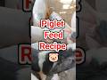 Cheap Piglet Feed Recipe 🐷 । Pig Farming Tips #shorts #farming #feedshorts #viral