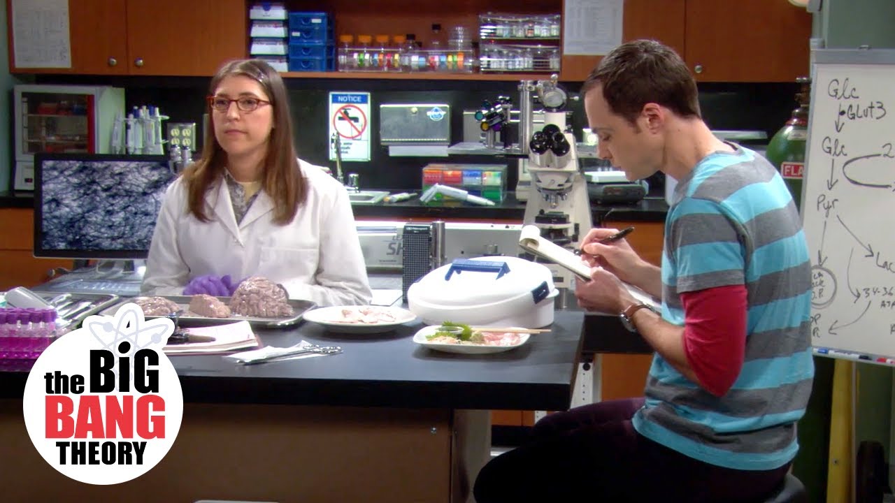 Sheldon Diagnoses Amy with Sexual Arousal | The Big Bang Theory