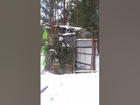 Халабуда 💪🌲 ТОП - YouTube