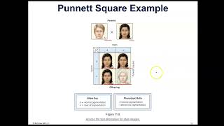 111 Ch 11 slides 18 - 28
