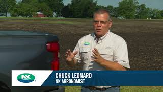 Choose NK44-J4XFS for Versatility and Increased Productivity