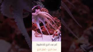 كم عدد اذرع الاخطبوط