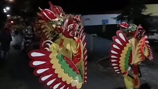 Live Arak-arakan Barong, kuntulan, obor ' acara yatiman 2025' Desa Gumuk.