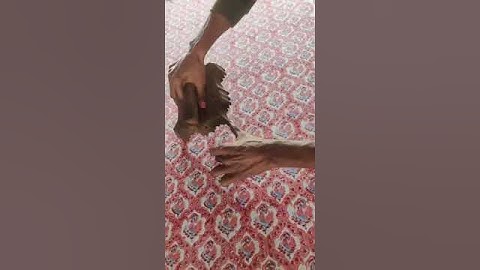 Hand Block Printing: A Timeless Art on Every Fabric