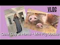 Simple Day at Home | Cooking   Relaxing | Pig Update | Village Life | Kenya life | Meru Life