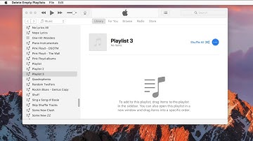 Delete Empty Playlists Demo