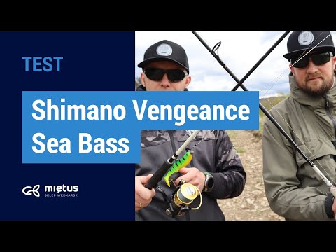 Wideo: Recenzja spodenek na szelkach Shimano Advanced