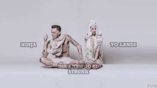 Video thumbnail of "Strunk - Die Antwoord (Lyrics)"