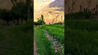 Mah Qorbaanat Shawam Ay Noqra - Ye Khaam Resimi