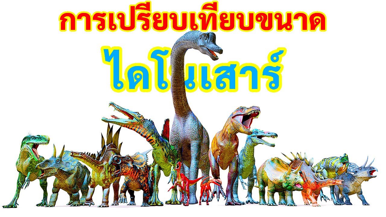 การเปรียบเทียบขนาดไดโนเสาร์ที่ใหญ่ที่สุด vs เล็กที่สุด
