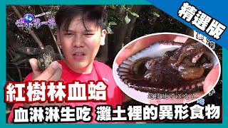 【哥斯大黎加】血盆大口的異形食物 遍布紅樹林周邊拳頭大血蛤｜《世界第一等》852集精華版